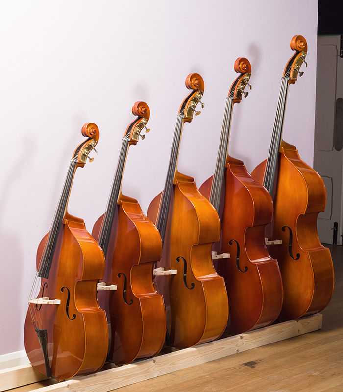 Contrebasses Musique Location